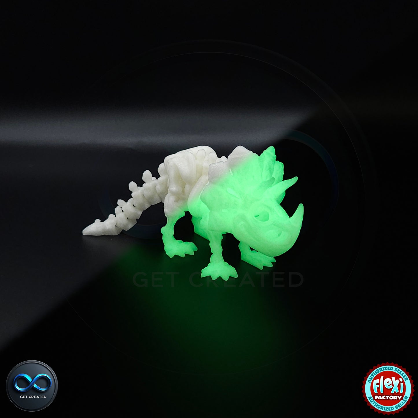 Triceratops Skeleton